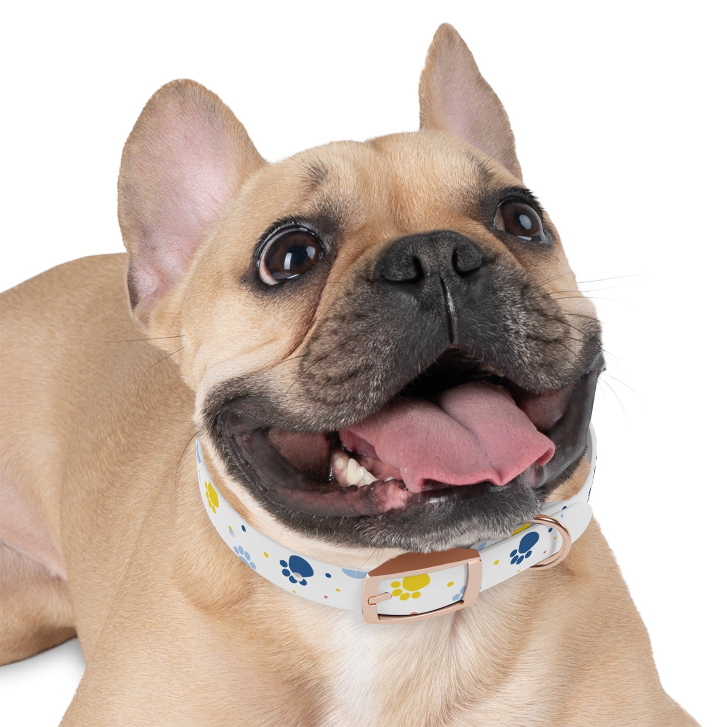 Playful Dog Collar with Colorful Prints, Adjustable Pet Accessory, Perfect for Dog Lovers Printify