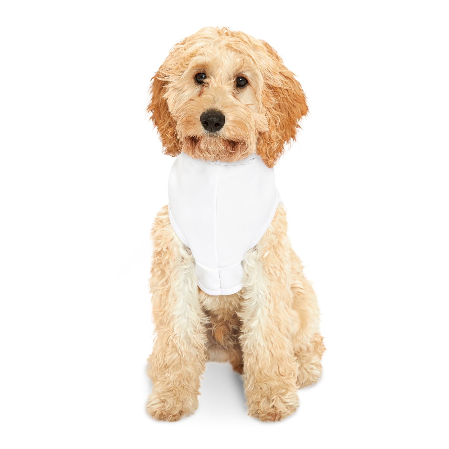 Pet Hoodie, Cozy Dog Sweatshirt, Dog Costume, Pet Apparel, Halloween Hoodie