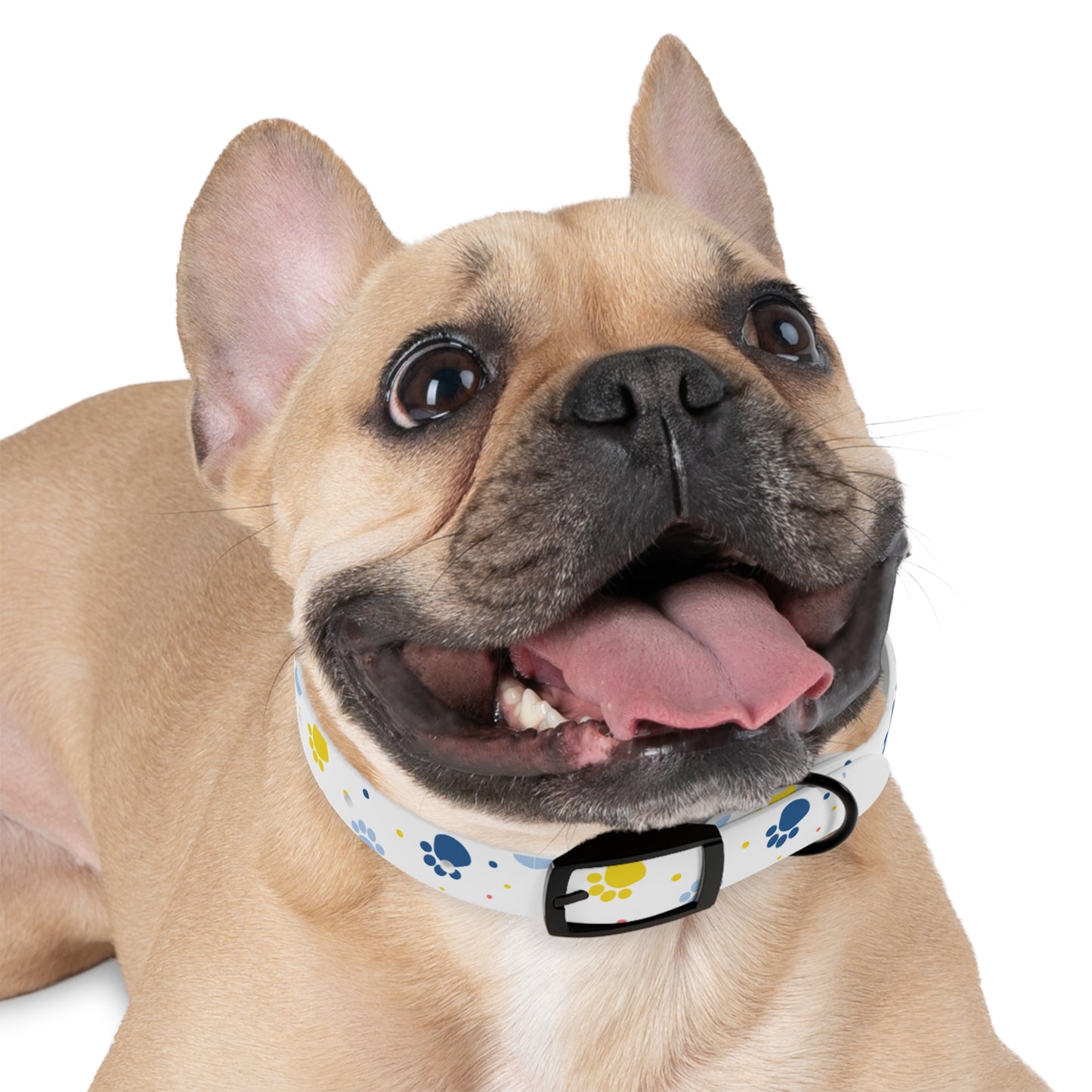 Playful Dog Collar with Colorful Prints, Adjustable Pet Accessory, Perfect for Dog Lovers