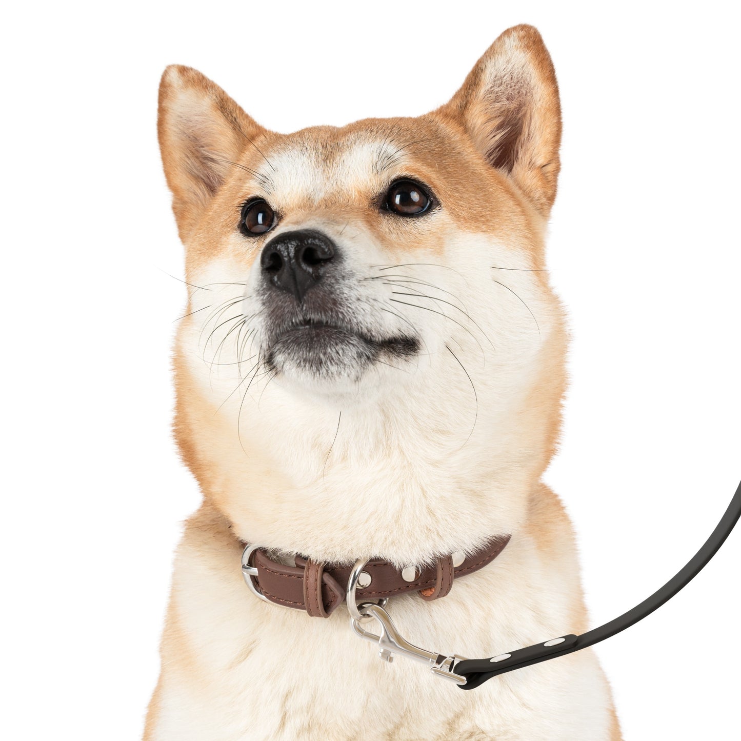 Stylish Pet Leash for Trendy Dogs, Durable Dog Leash, Fashionable Leash for Pets