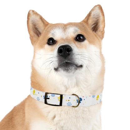 Playful Dog Collar with Colorful Prints, Adjustable Pet Accessory, Perfect for Dog Lovers Printify