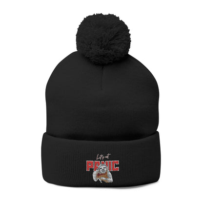 Cozy Embroidered Pom-Pom Cap | Winter Hat, Fashion Accessory