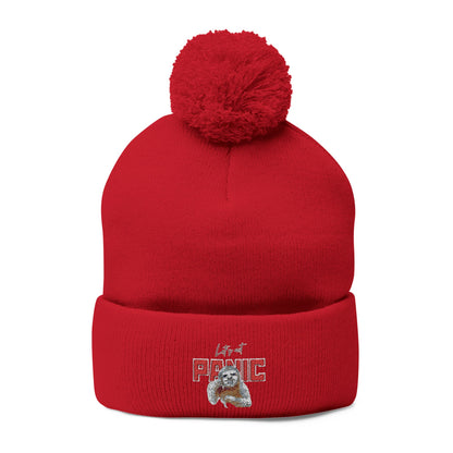 Cozy Embroidered Pom-Pom Cap | Winter Hat, Fashion Accessory
